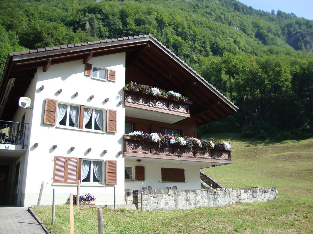 Rophaienblick