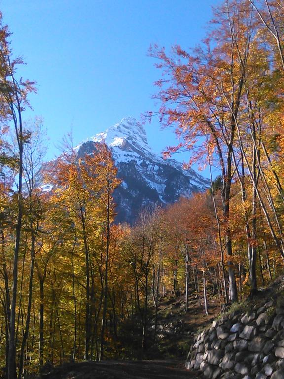 Rophaienblick