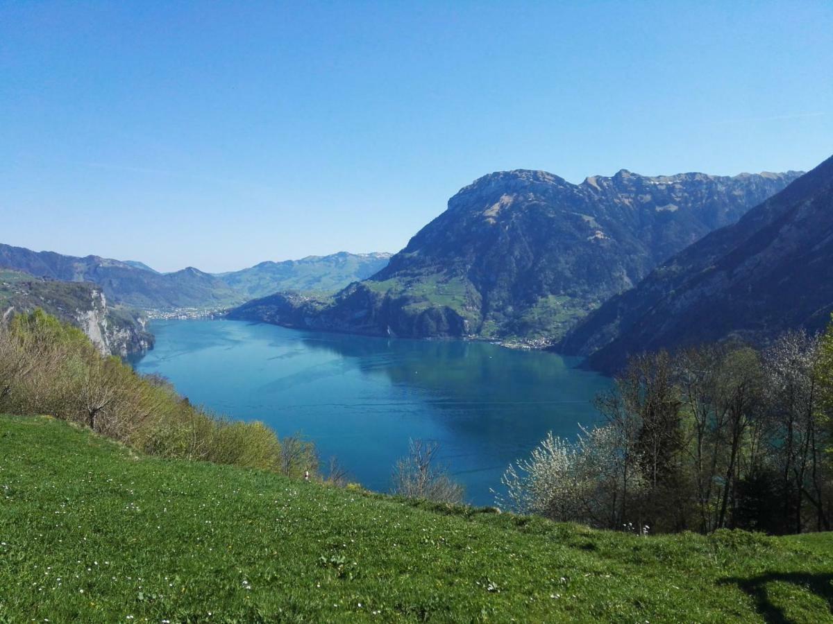 Rophaienblick